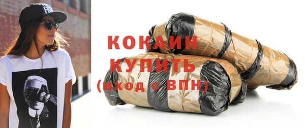 шишки Арсеньев