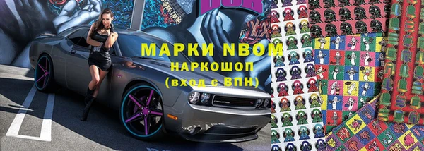 шишки Арсеньев