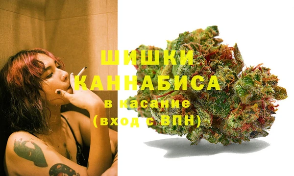 шишки Арсеньев