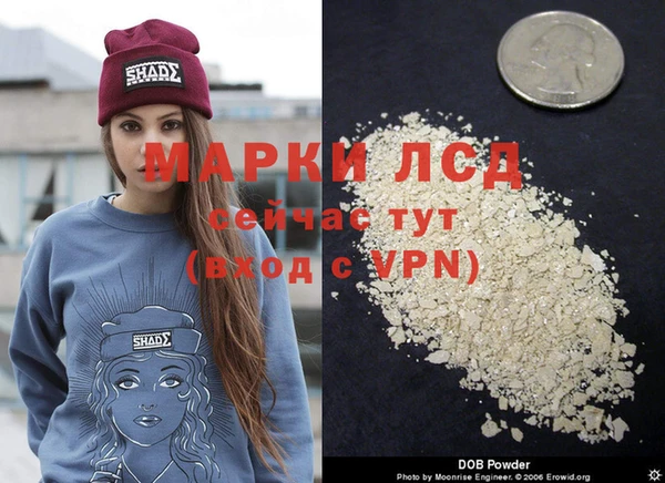 apvp Аркадак