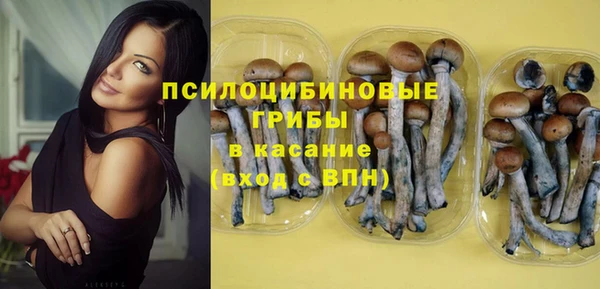 apvp Аркадак