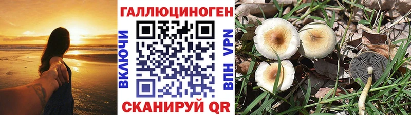 Галлюциногенные грибы ЛСД  МЕГА   Нахабино 